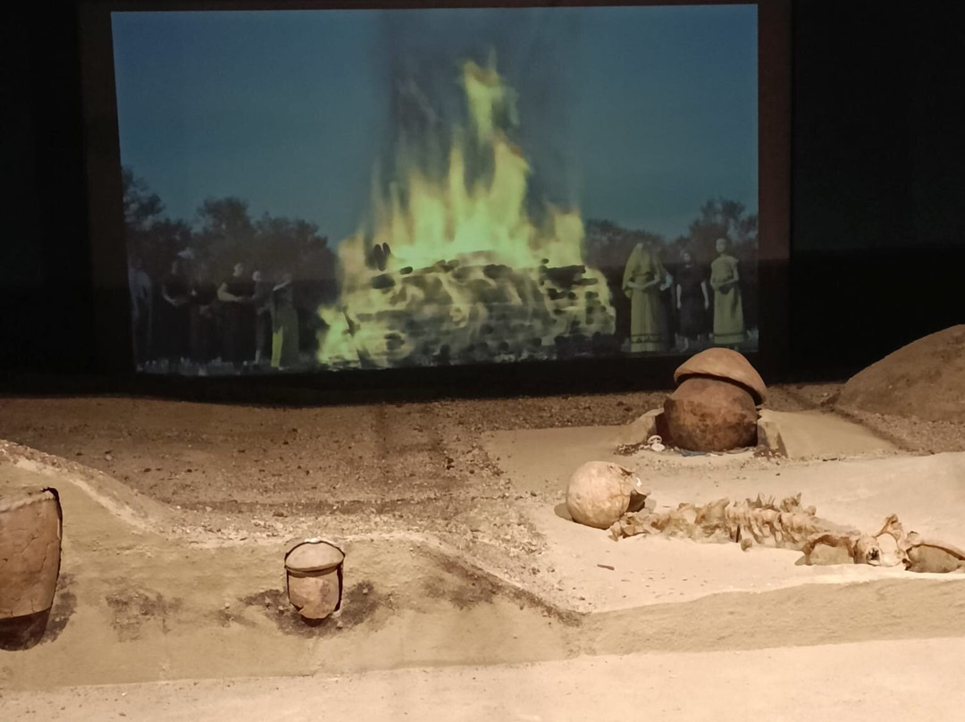 Museo Archeologico Nazionale di Fratta Polesine-Fratta Polesine必去景点