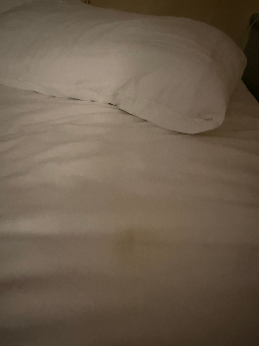 诺茨克罗辛度假酒店-旅行者
