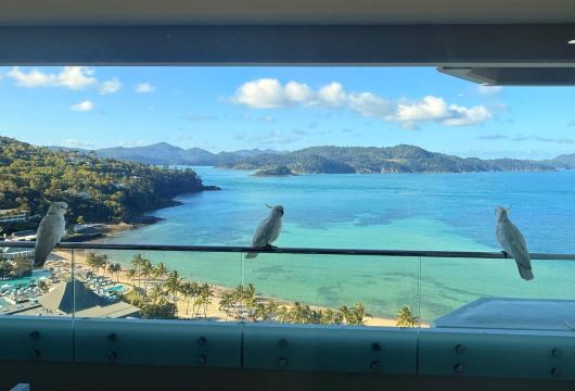 珊瑚景酒店-旅行者