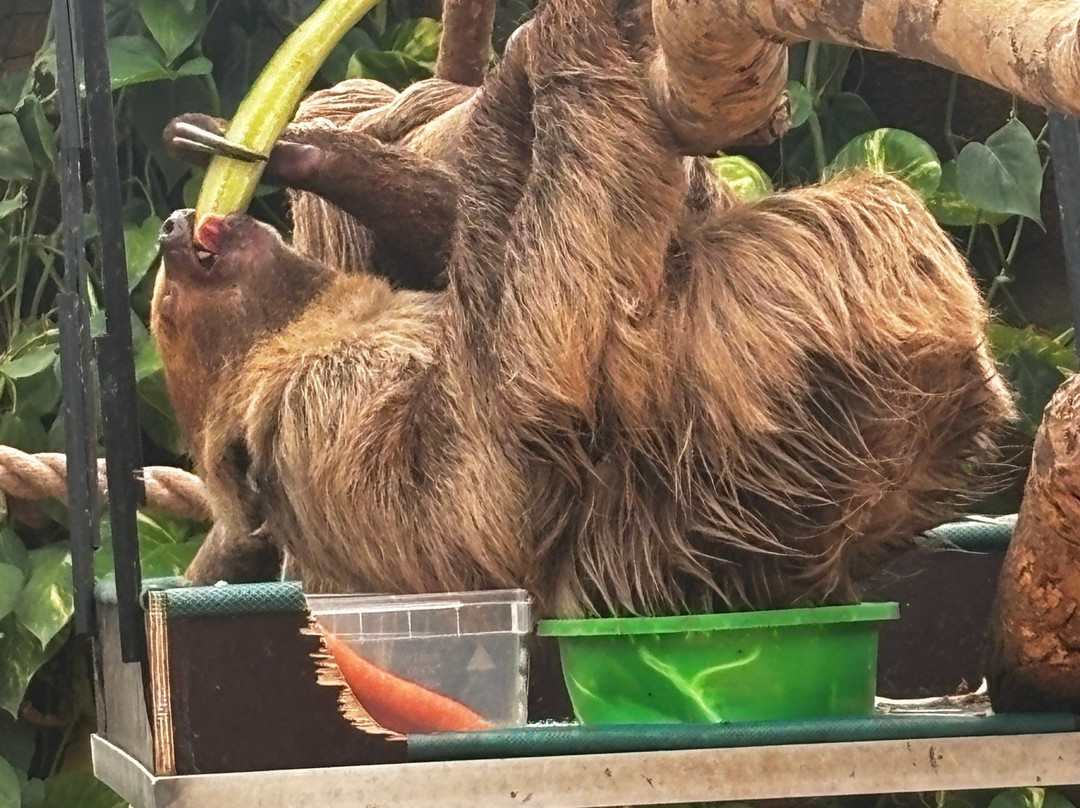 Krokodille Zoo-Eskilstrup必去景点