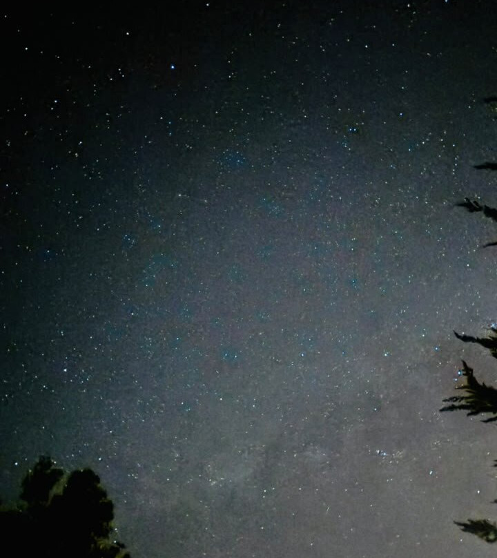Astronomia Desde el Jardin Diaguitas-Diaguitas必去景点