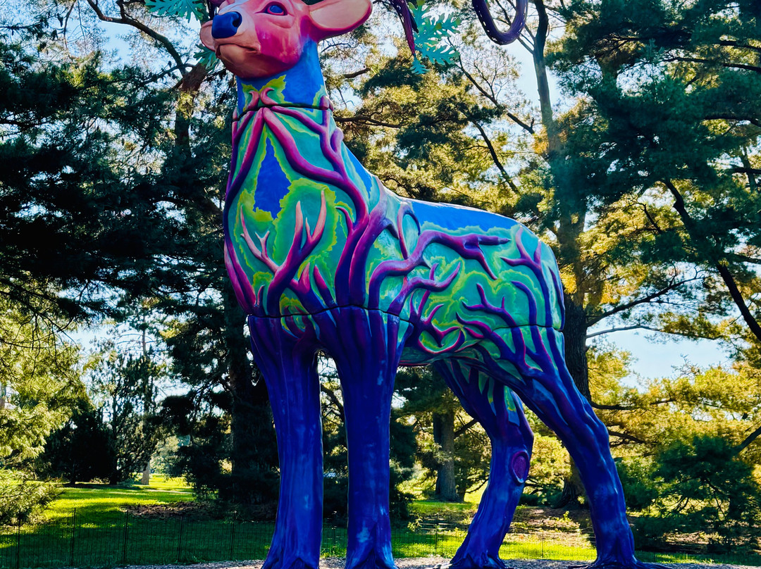 Morton Arboretum-Lisle必去景点