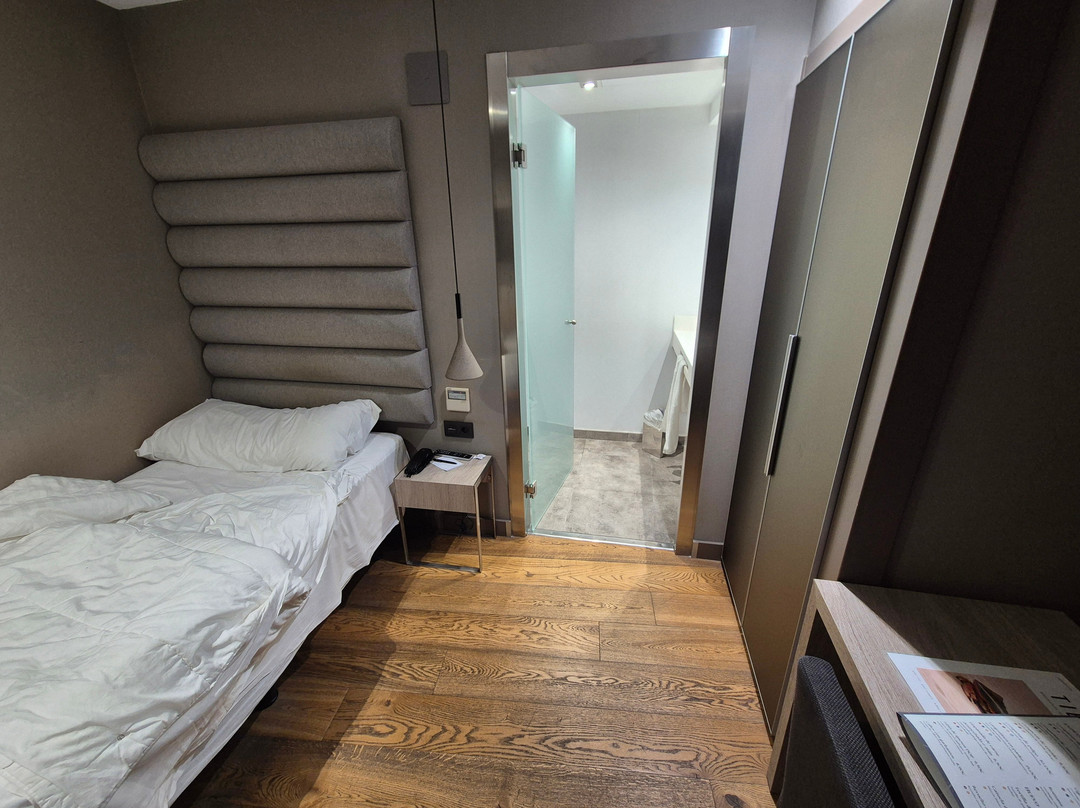 泽尼特维哥酒店