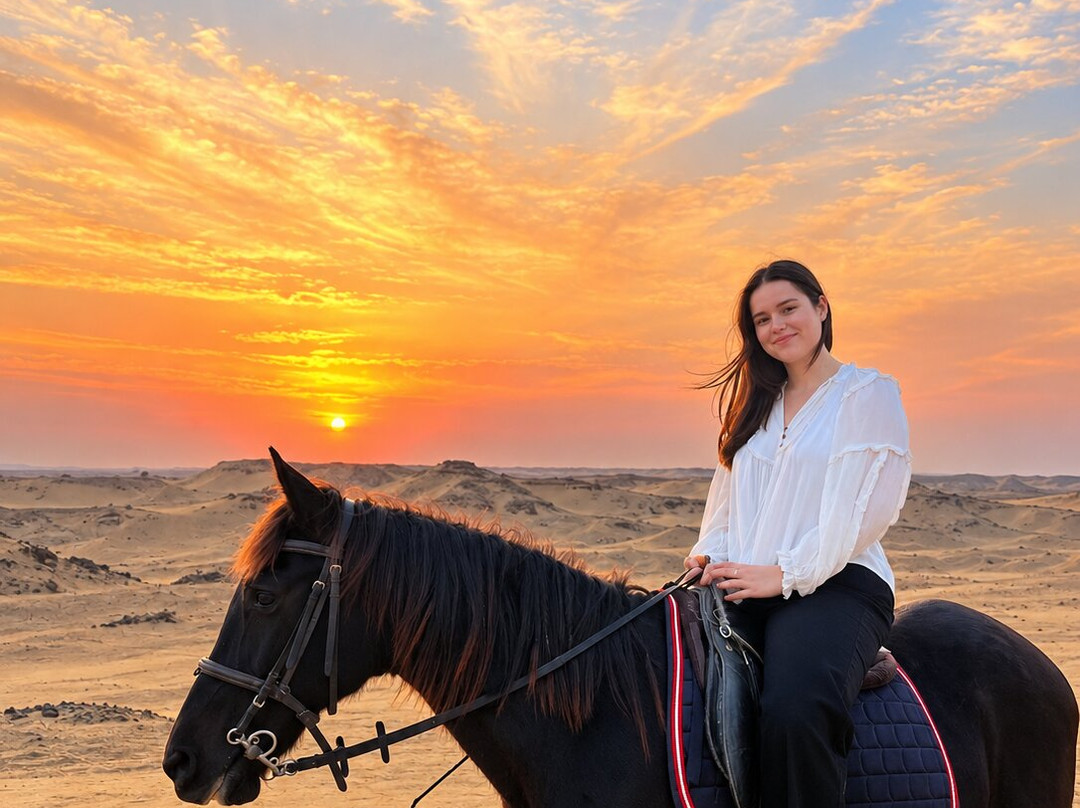 Cairo Horse Riding School-吉萨必去景点