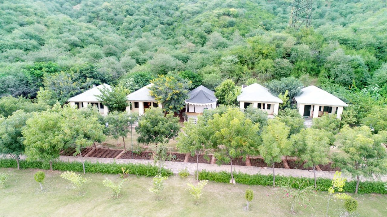 CT Resorts Jungle Camp-官方