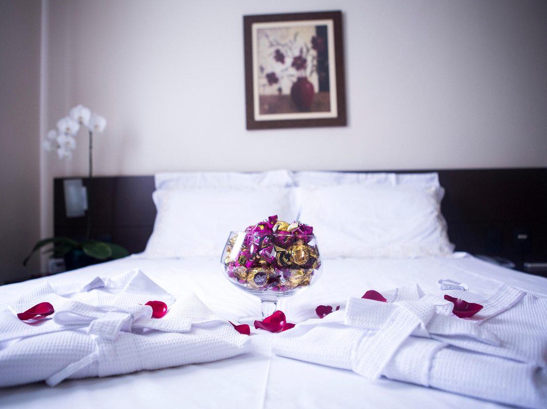 Hotel Santos Dumont Aeroporto