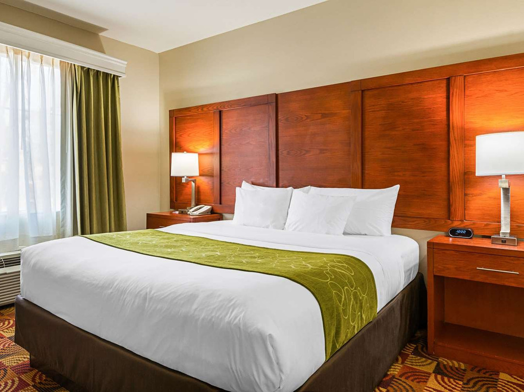 Comfort Suites主图