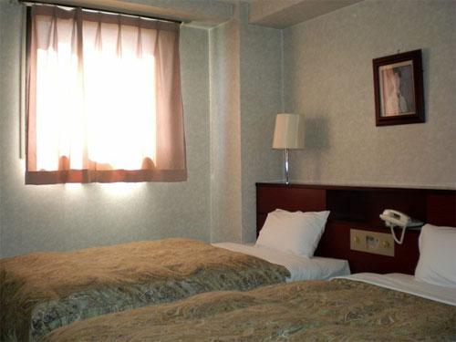 Mizunami Olaza Hotel-官方