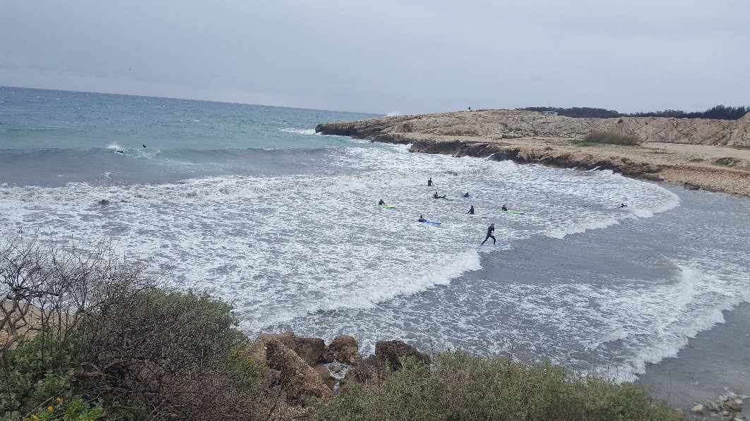 Office De Tourisme De Sausset Les Pins-Sausset-les-Pins必去景点