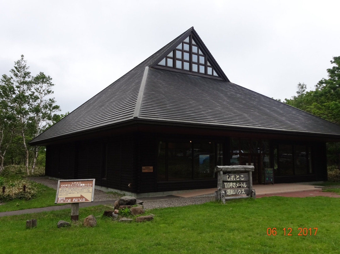 Shiretoko 100 Square-Meter Trust Forest景点图片