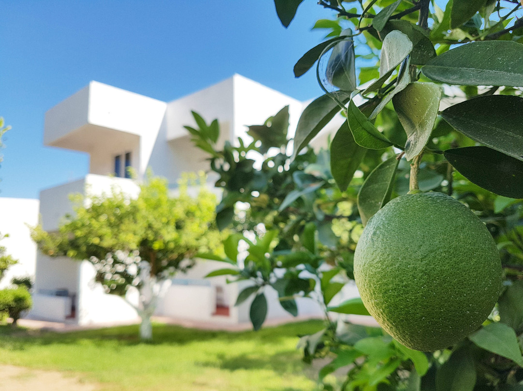 Ladiko酒店住宿-Ladikos Garden