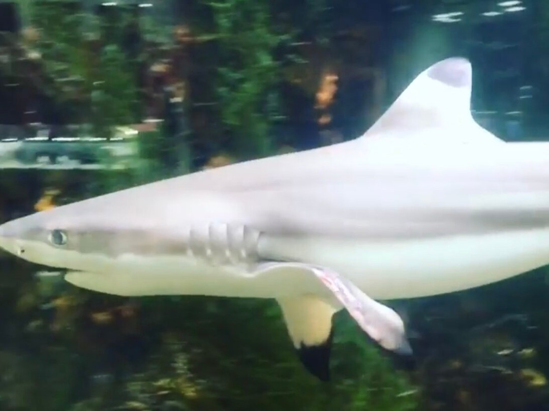 Mall Rubin-特维尔必去景点