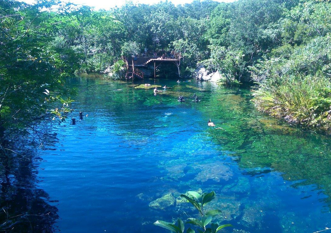 Cenote Jardín del Eden景点图片