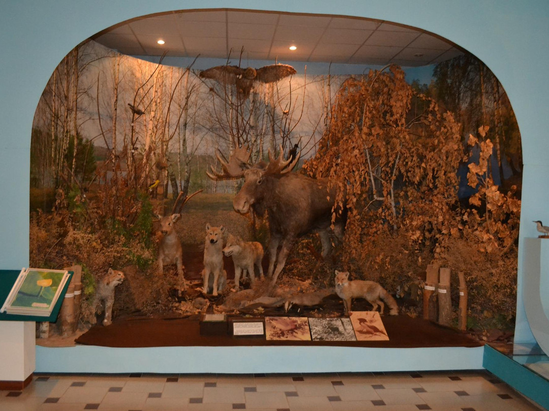Nature and Ecology Museum景点图片