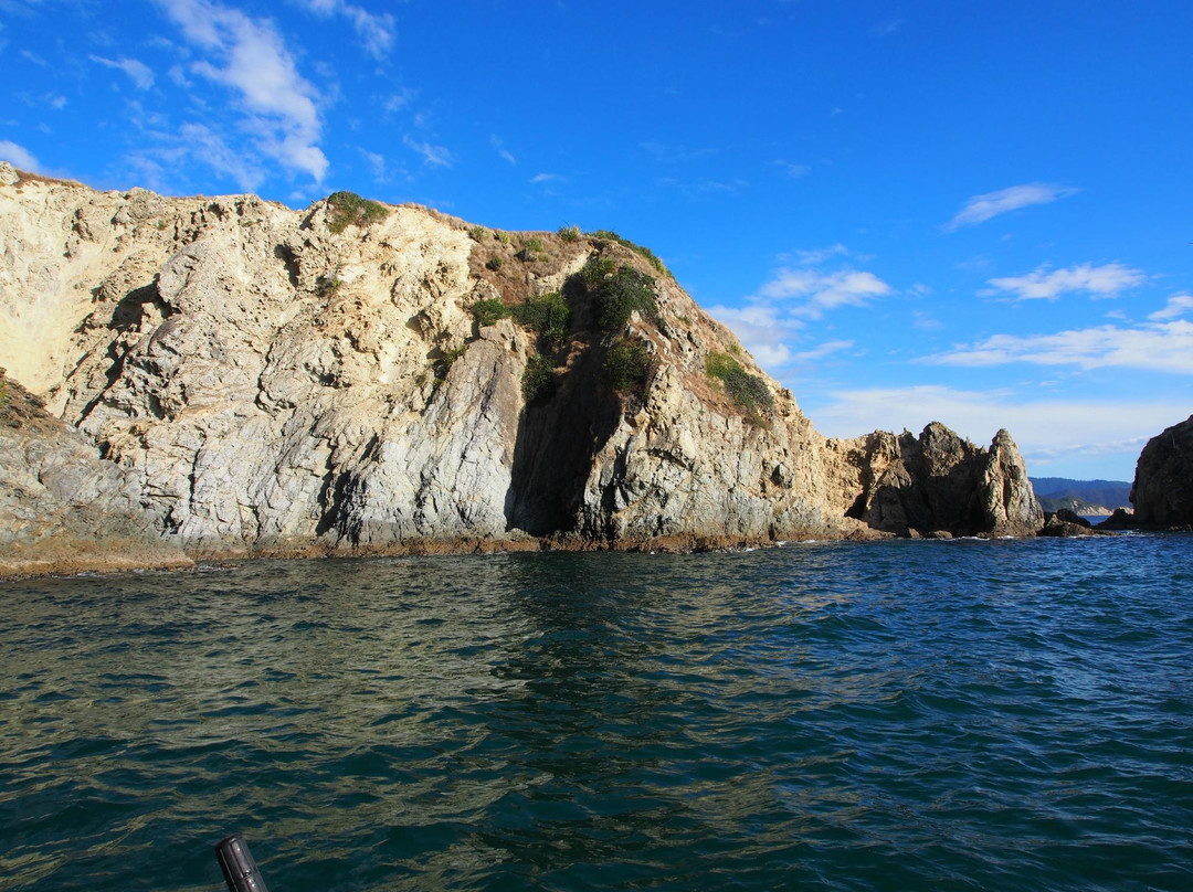 Waikawa Dive Centre景点图片