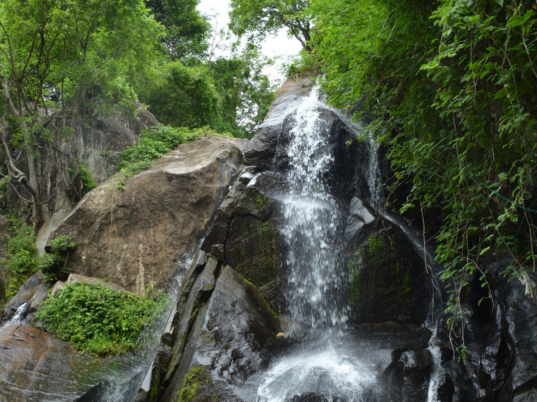 Tirunelveli District旅游攻略图片
