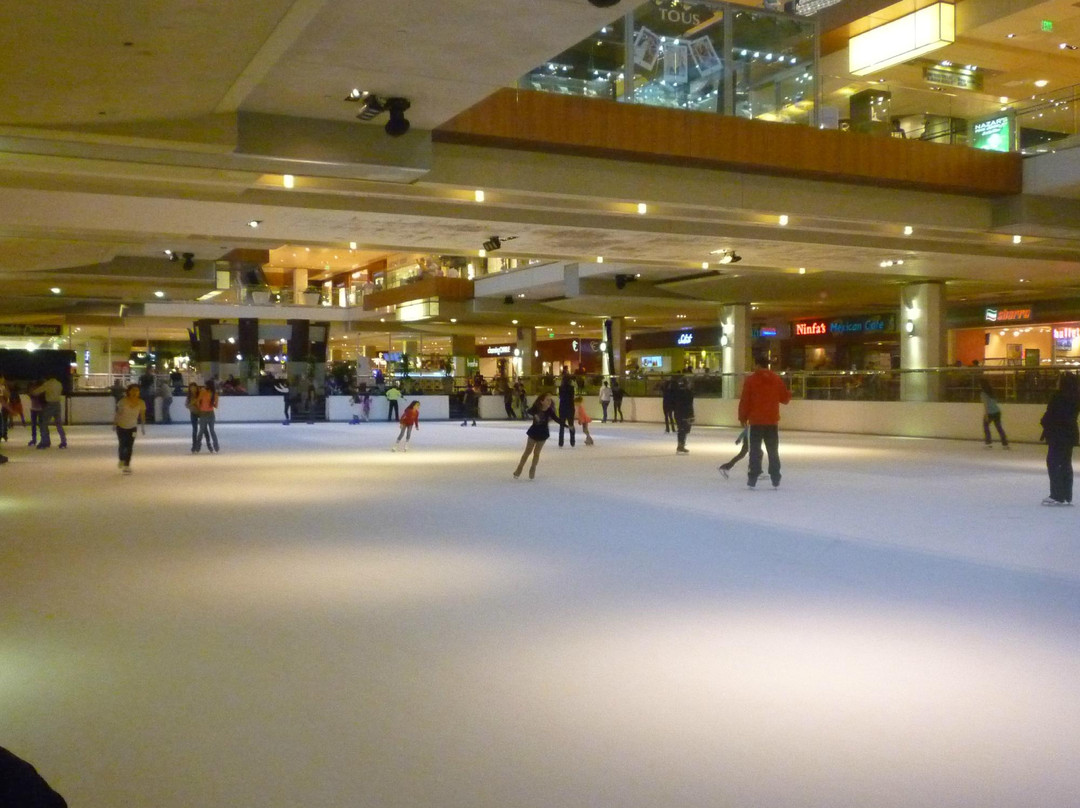 Ice at the Galleria景点图片