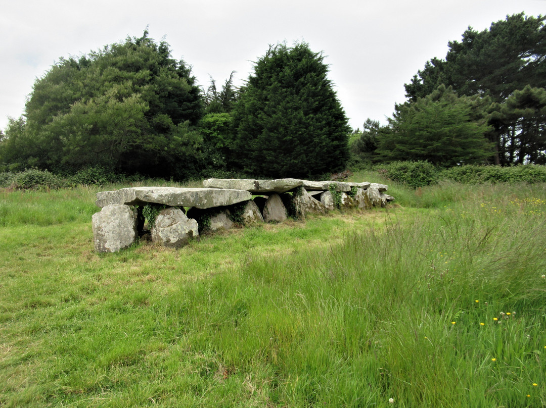 Allée Couverte Et Menhir De Prajou-menhir