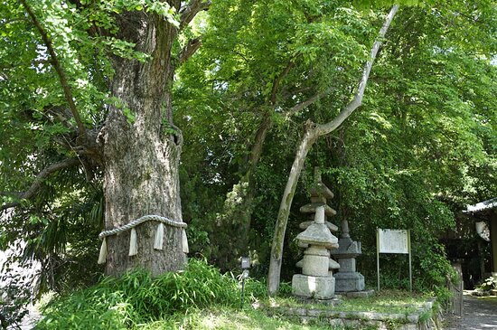 Tomonin Temple景点图片