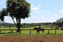 Hotel Península主图