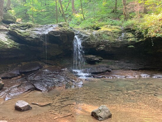 Frozen Head State Park-Wartburg必去景点