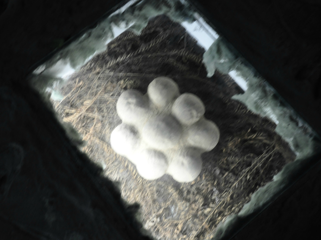 青龙山-郧县必去景点