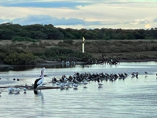 Swan Bay-皇后崖必去景点
