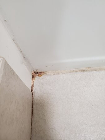 Country Inn & Suites by Radisson, Portland, TX主图