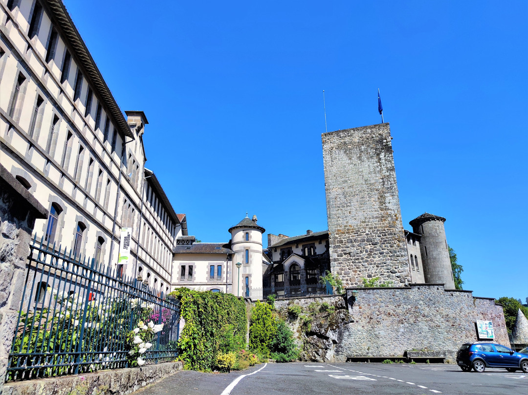 Chateau Saint-Etienne景点图片