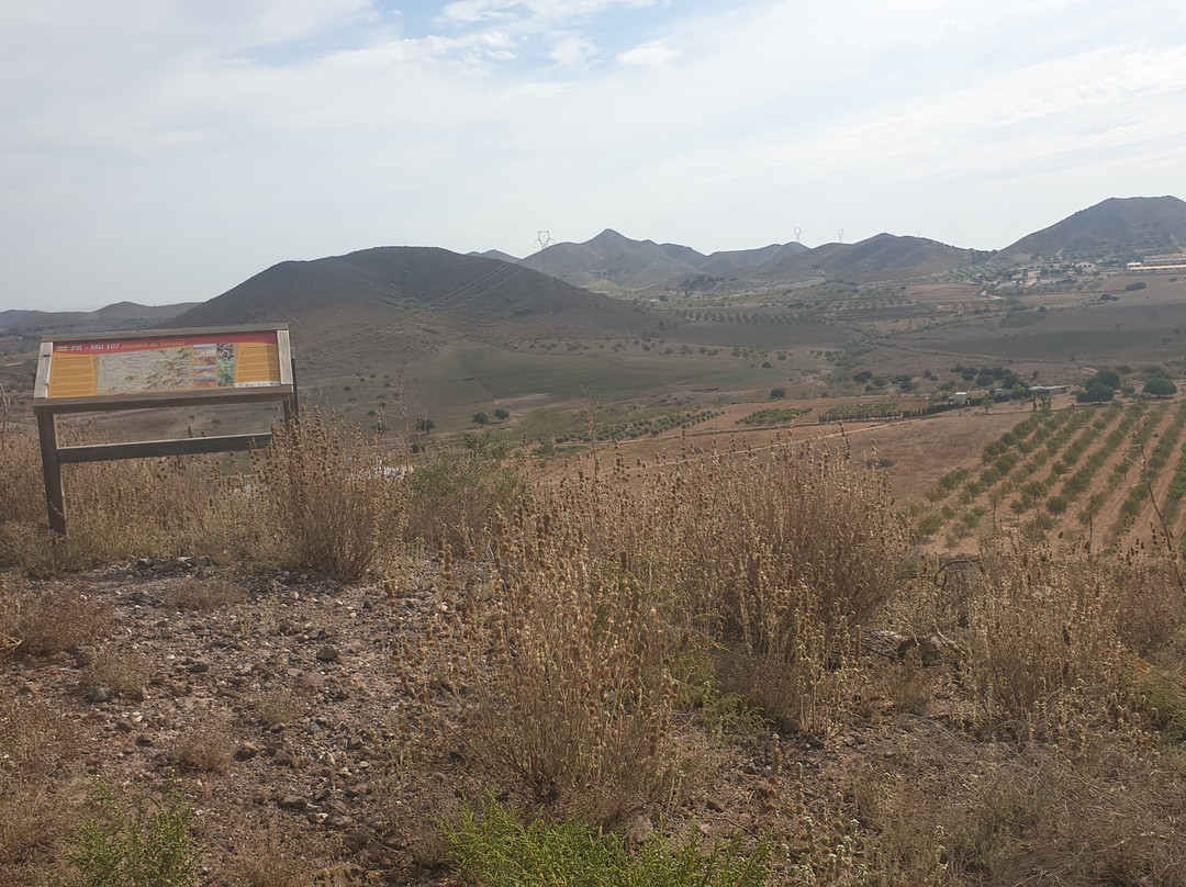 Cerro Palarán景点图片