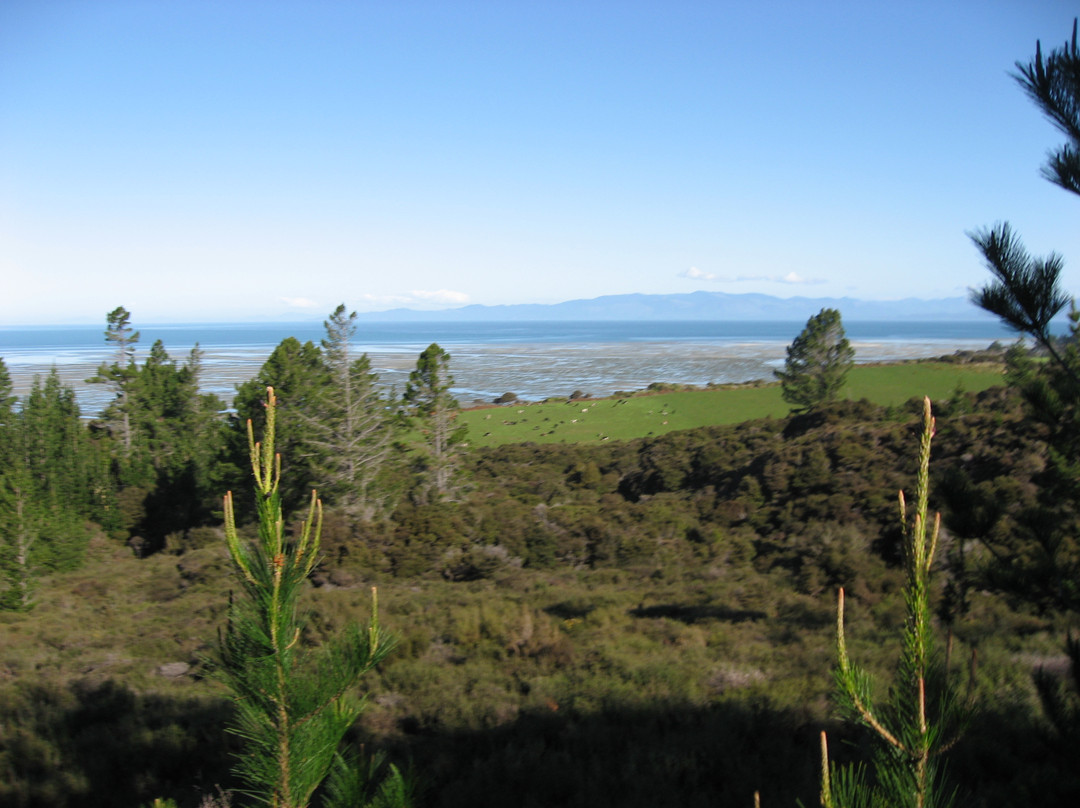 Cape Farewell Horse Treks景点图片