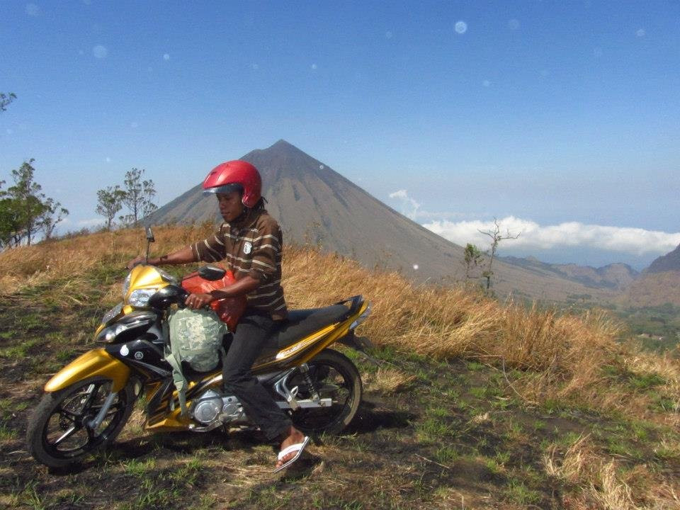 Marselino's Homestay主图