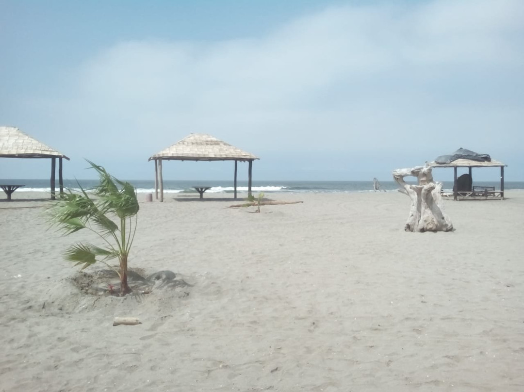 Wakama Eco Playa主图