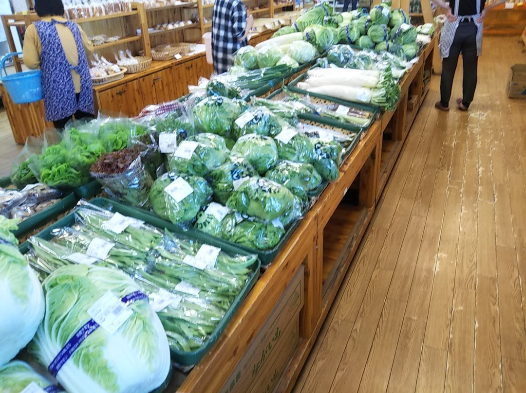 Oritsume Michi-no-Eki-九户村必去景点