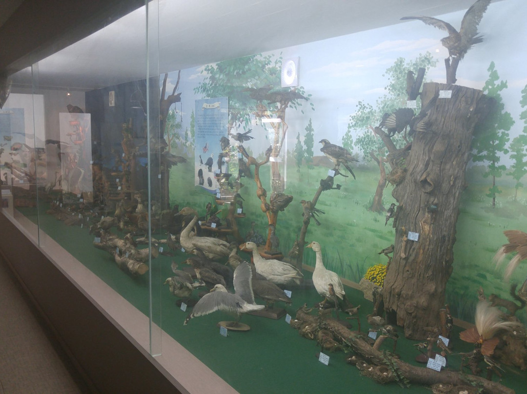 Jupil Spider Museum-南杨州市必去景点