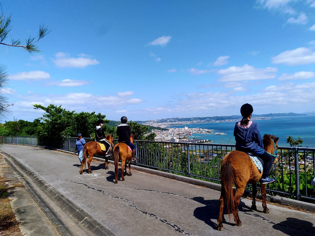 Umikaze Horse Farm景点图片