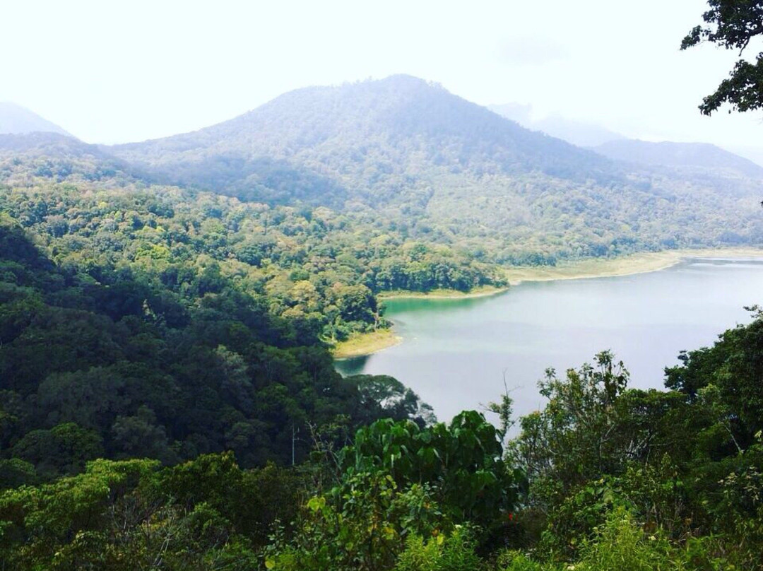 Twin Lake View景点图片
