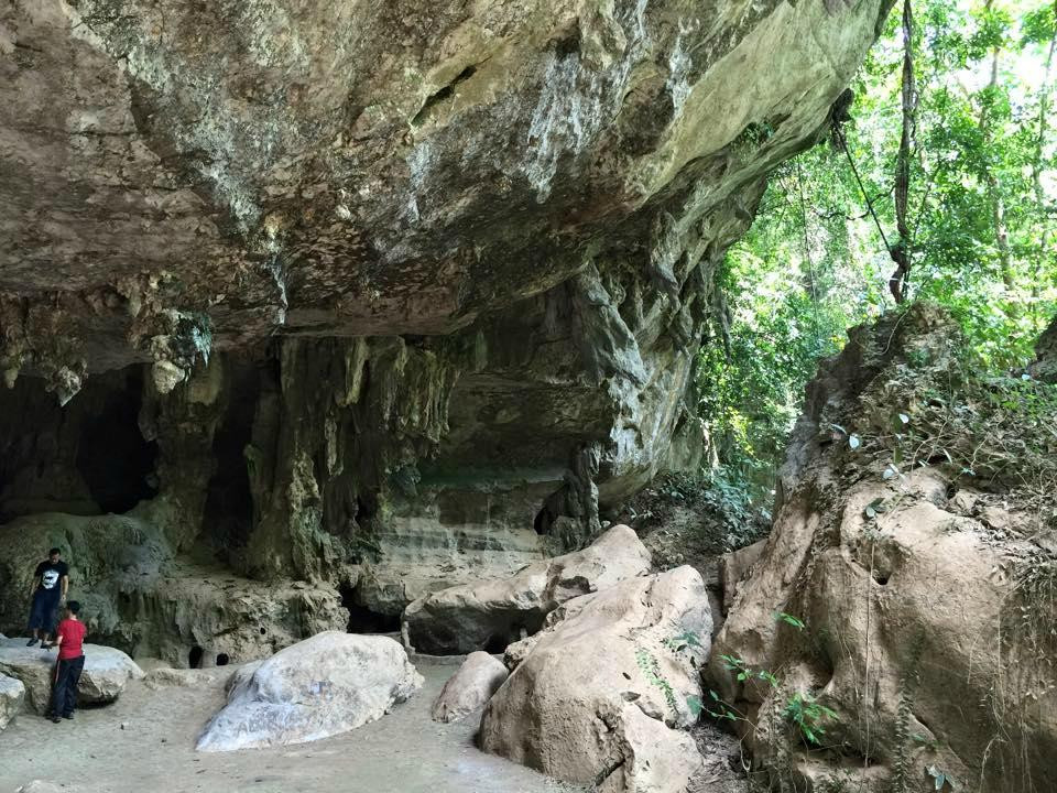 Kota Gelanggi Caves景点图片