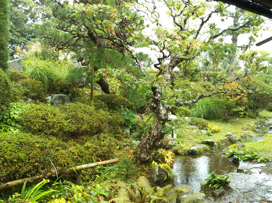Baba Family Old Residence-松本市必去景点