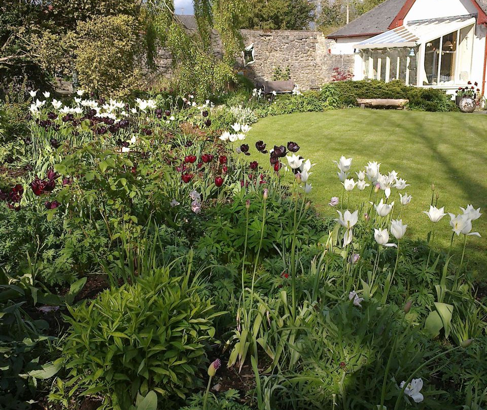 Woodland Cottage Garden景点图片