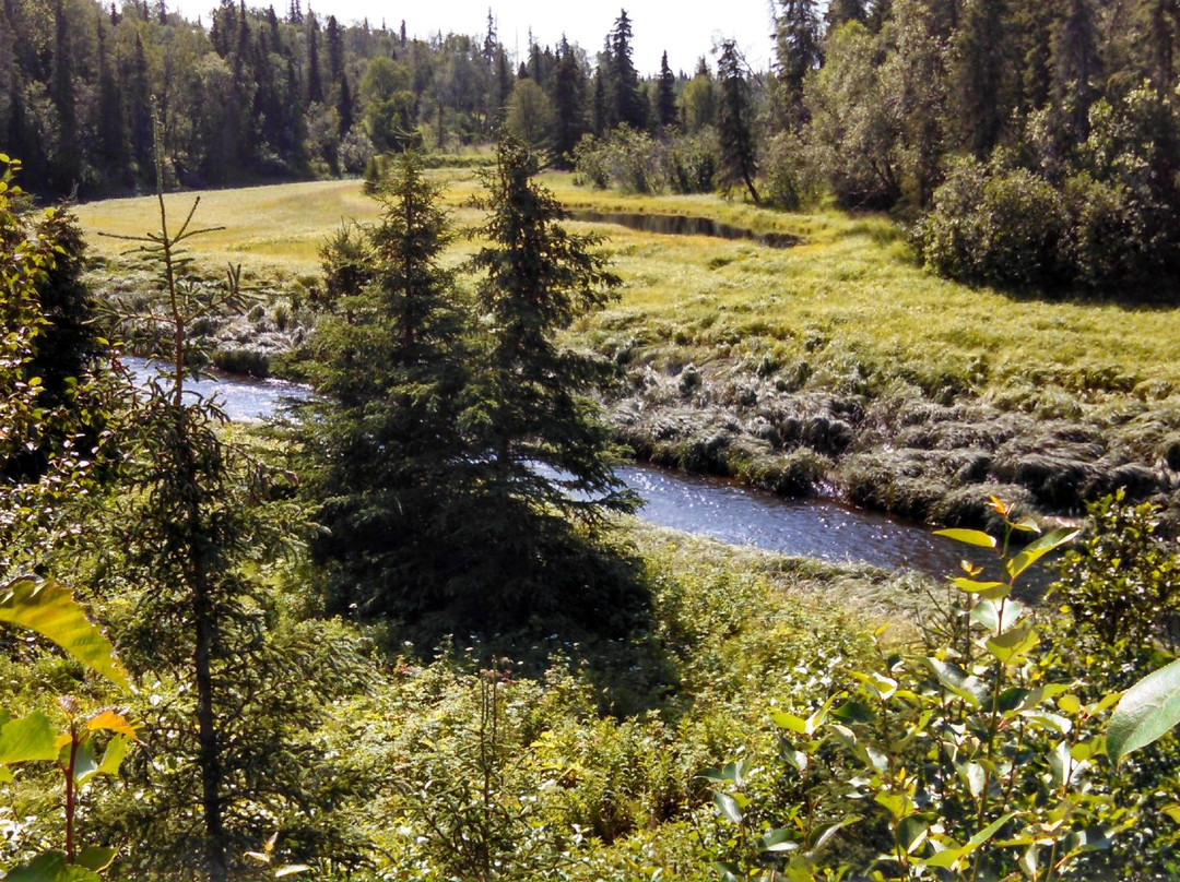 2024年1月Nikiski旅游景点攻略Nikiski旅游住宿,Nikiski旅游美食猫途鹰