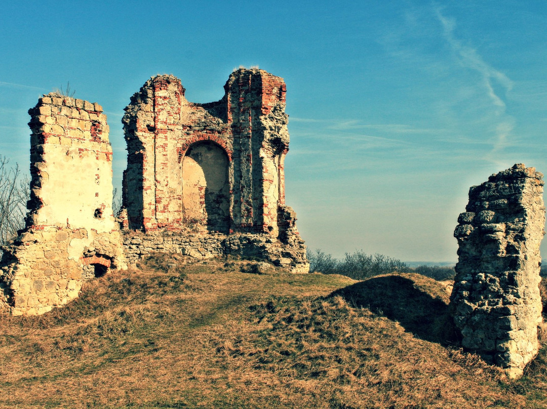 Bezdez旅游景点-Zviretice - castle