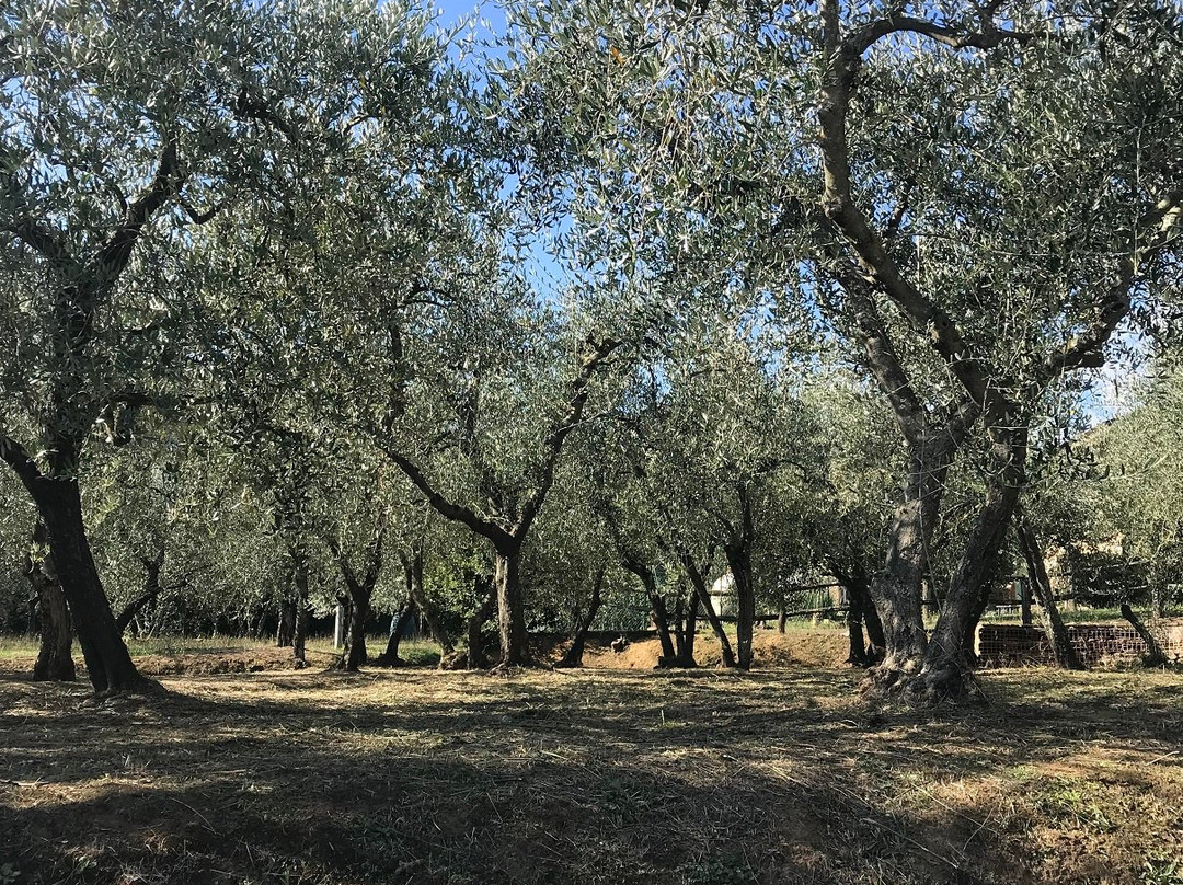 Colle di Compito旅游攻略图片