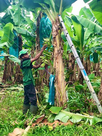 Visit Belfort MQ-Le Lamentin必去景点