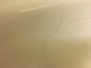 Country Inn & Suites by Radisson, Princeton, WV主图