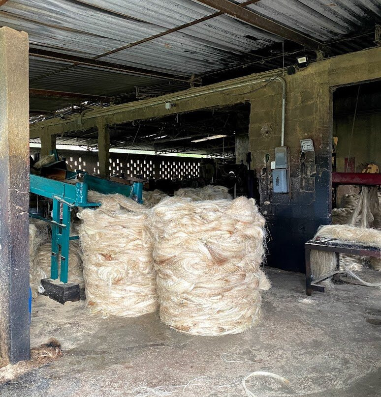 Hacienda y Ruinas de Ake-梅里达必去景点