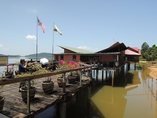Bukit Merah Orang Utan Island Foundation景点图片