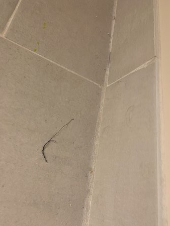 Ramada by Wyndham Hendersonville主图