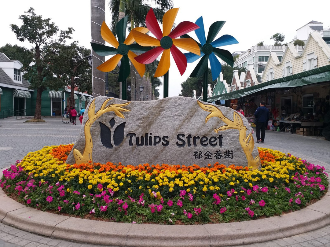 南山花卉世界-深圳市必去景点