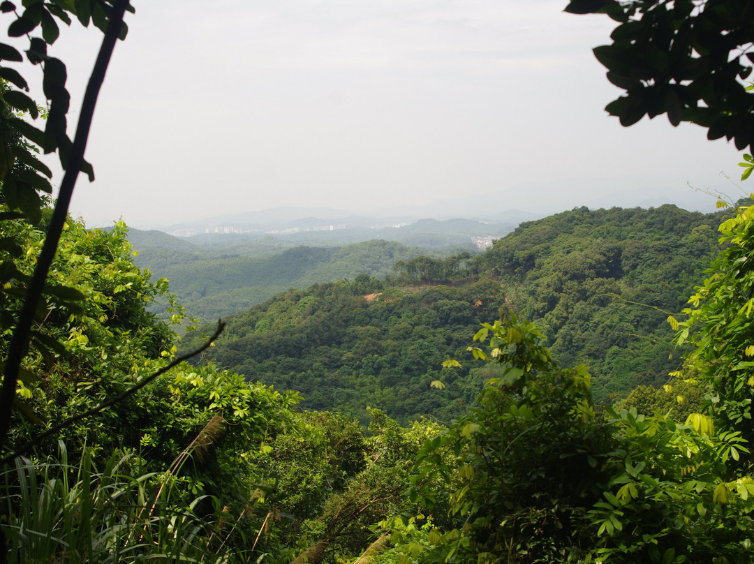 帽峰山森林公园-广州市必去景点